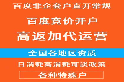 行业领先企业的关键词竞价排名实战案例